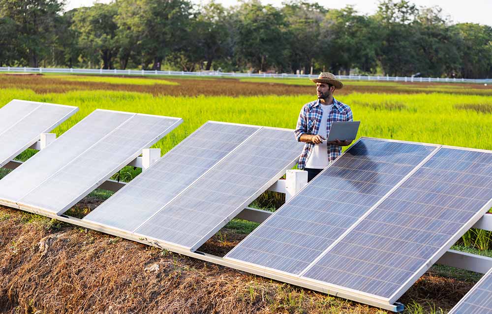 Agrivoltaic solar structures above crops in Mauritius
