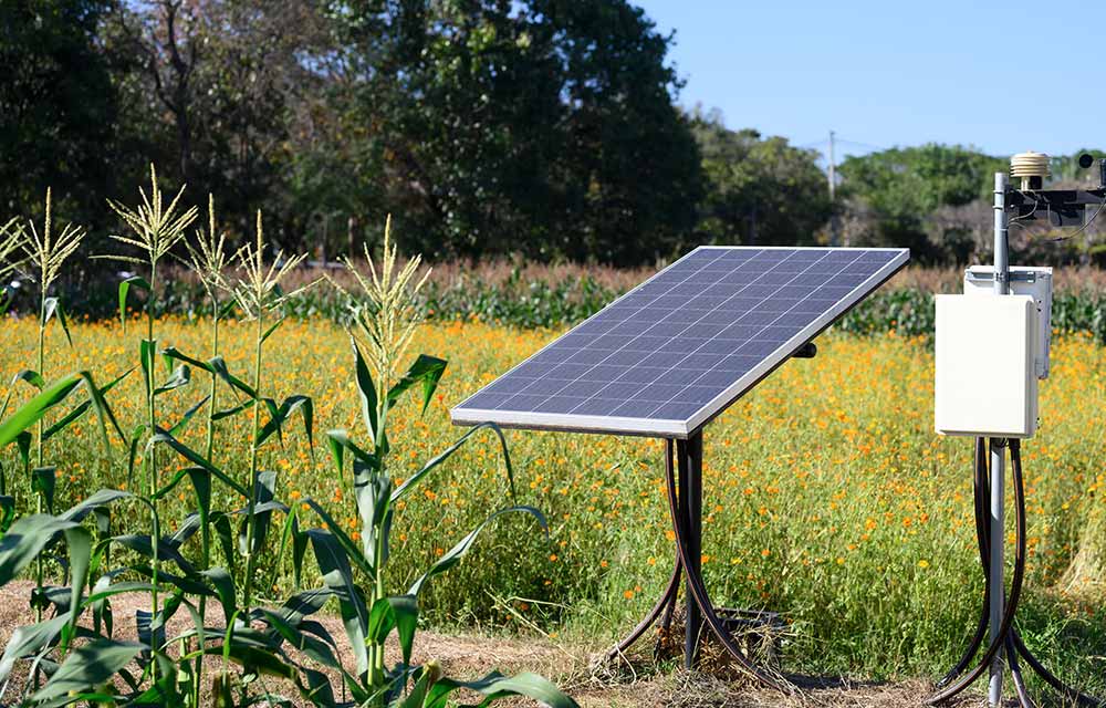 Solar panels shading vegetable crops in Mauritius to reduce heat